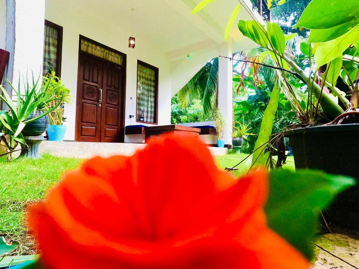 Mountain Seaview Cabanas Tangalle Eksteriør billede