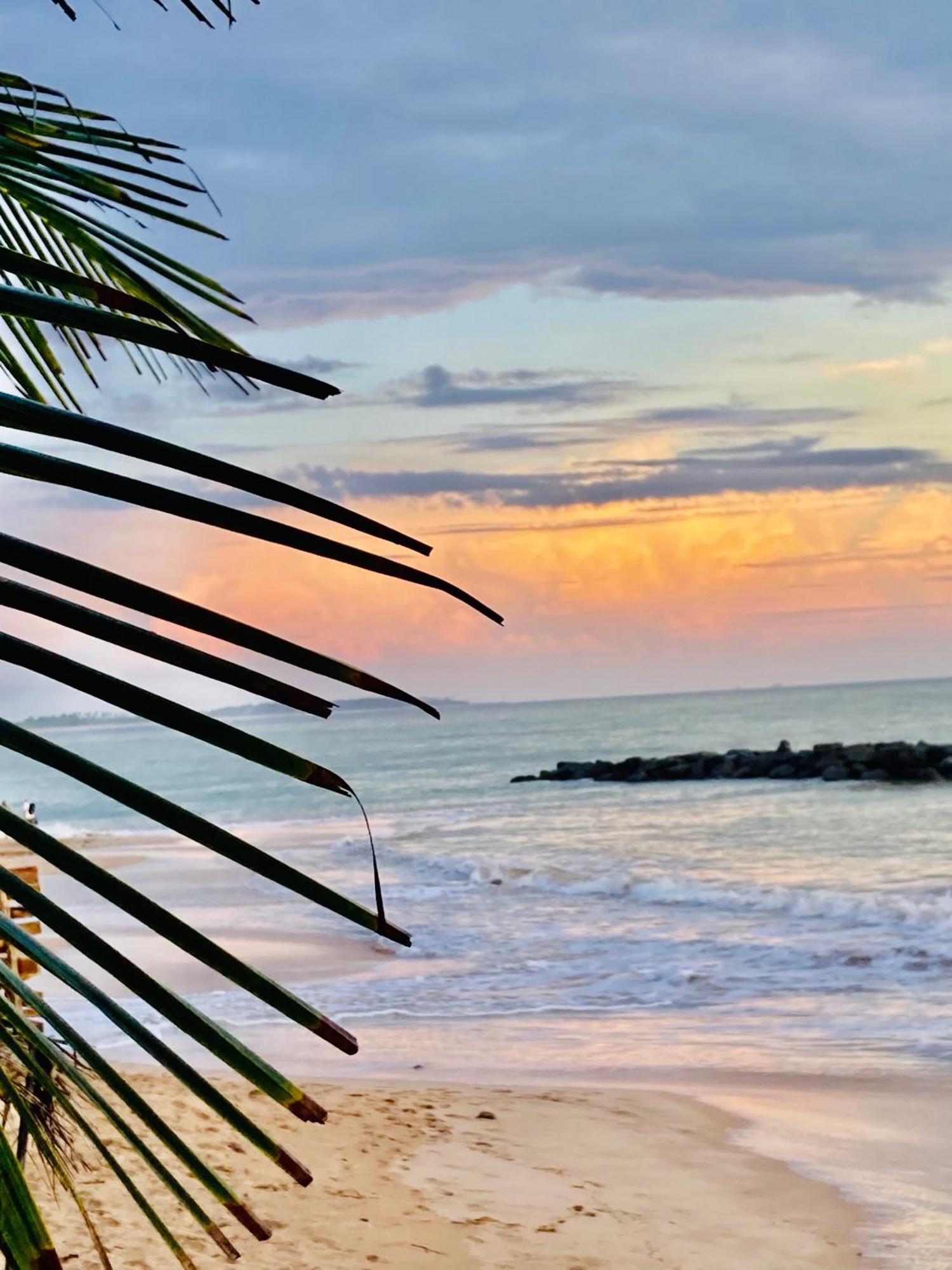 Mountain Seaview Cabanas Tangalle Eksteriør billede