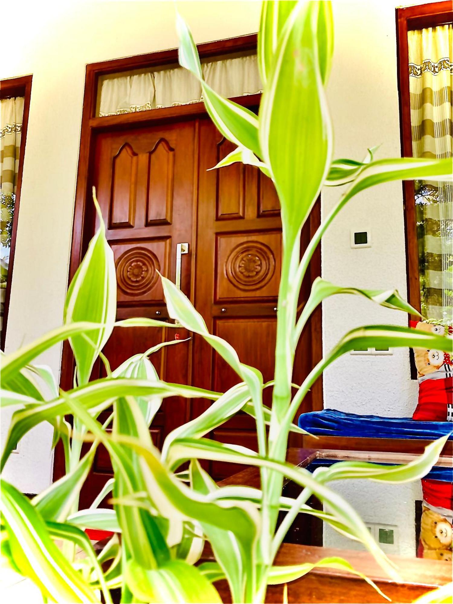 Mountain Seaview Cabanas Tangalle Eksteriør billede