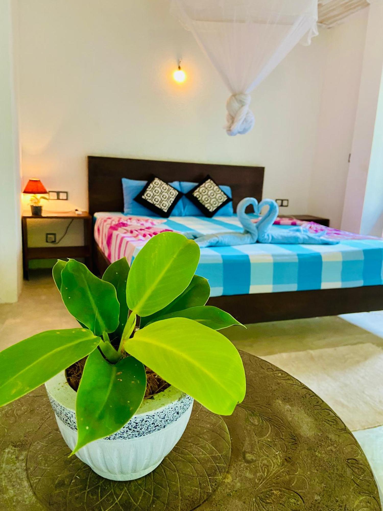 Mountain Seaview Cabanas Tangalle Eksteriør billede